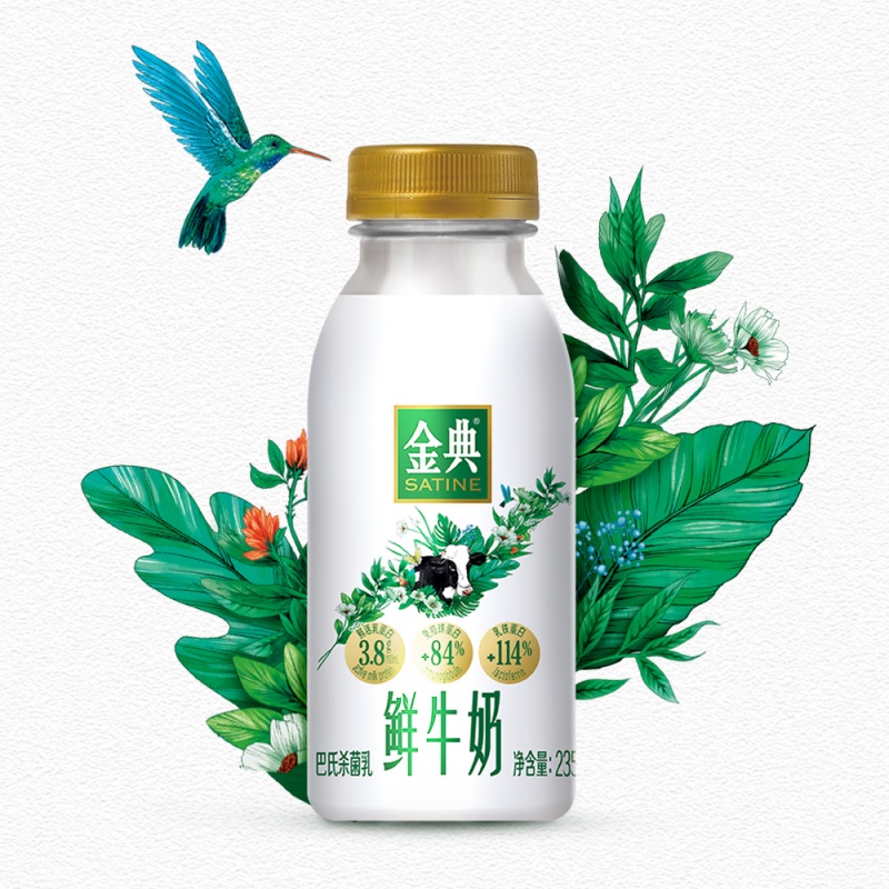 伊利低温鲜奶金典235ml*15瓶全脂巴氏杀菌健康营养早餐奶-图1