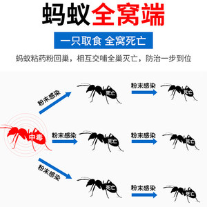 郁康蚂蚁药10包室内外全窝家用非无毒强力端除红黑灭蚁粉杀虫剂