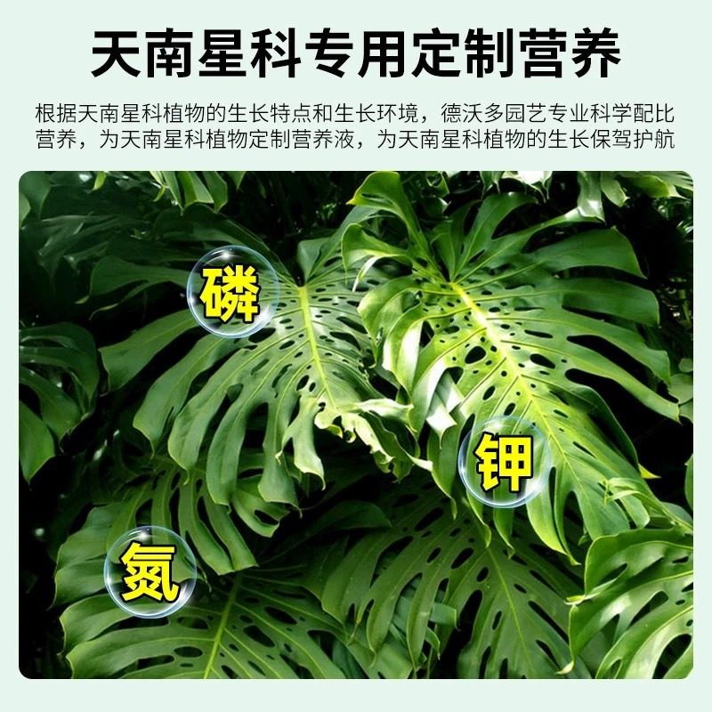 【顺丰包邮】南天星植物专用肥龟背竹专用营养液天南星科琴叶榕盆,淘宝优惠券,粉丝福利购,淘宝优惠卷