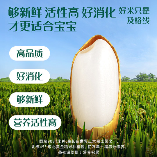 Ying's Infant Rice Noodles with Calcium and Spinach with Iron