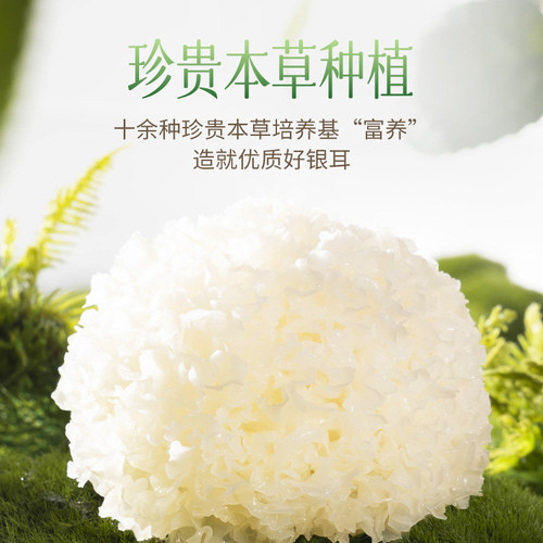 燕之坊古田本草银耳干货碎糯耳免洗免泡焖烧杯银耳羹冲泡即食 - 图2