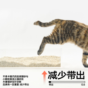 PIDAN豆腐膨润土混合猫砂