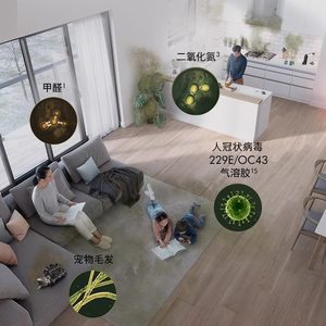 Dyson戴森HP12空气净化器去除分解甲醛暖风机安全