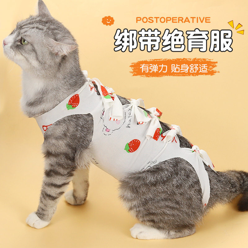 猫咪衣服绝育服母猫手术后用药服断奶生理裤防舔骚扰美容衣服涤纶,淘宝优惠券,粉丝福利购,淘宝优惠卷