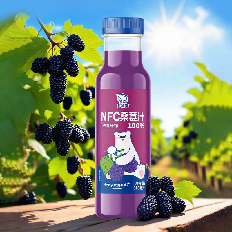 北冰洋100%NFC桑葚汁鲜果压榨纯果汁瓶装300ml*6瓶