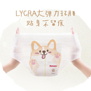 41.9/包！好奇柯基软萌星人