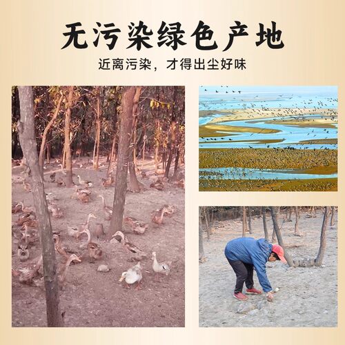 咸鸭蛋流油起沙正宗鸭蛋真空咸蛋黄特产特大盐鸭蛋熟咸蛋非高邮 - 图2