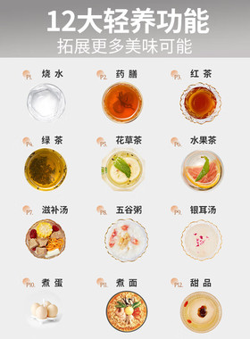 九阳养生壶快煮慢炖大口径