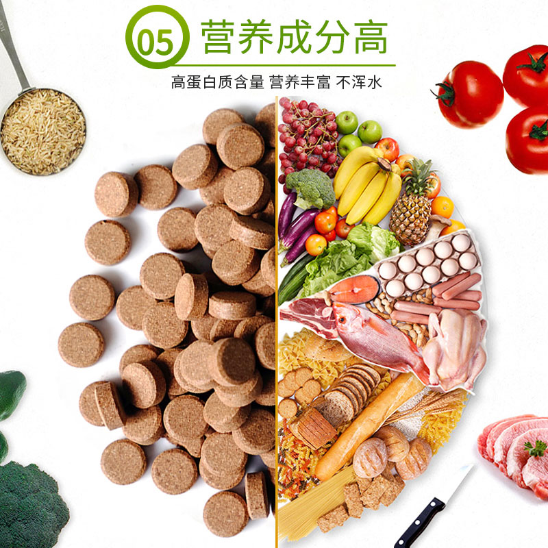 BIOZYM百因美螺旋藻贴片饲料110g斗鱼孔雀灯鱼小型热带鱼粮鱼饲料 - 图1