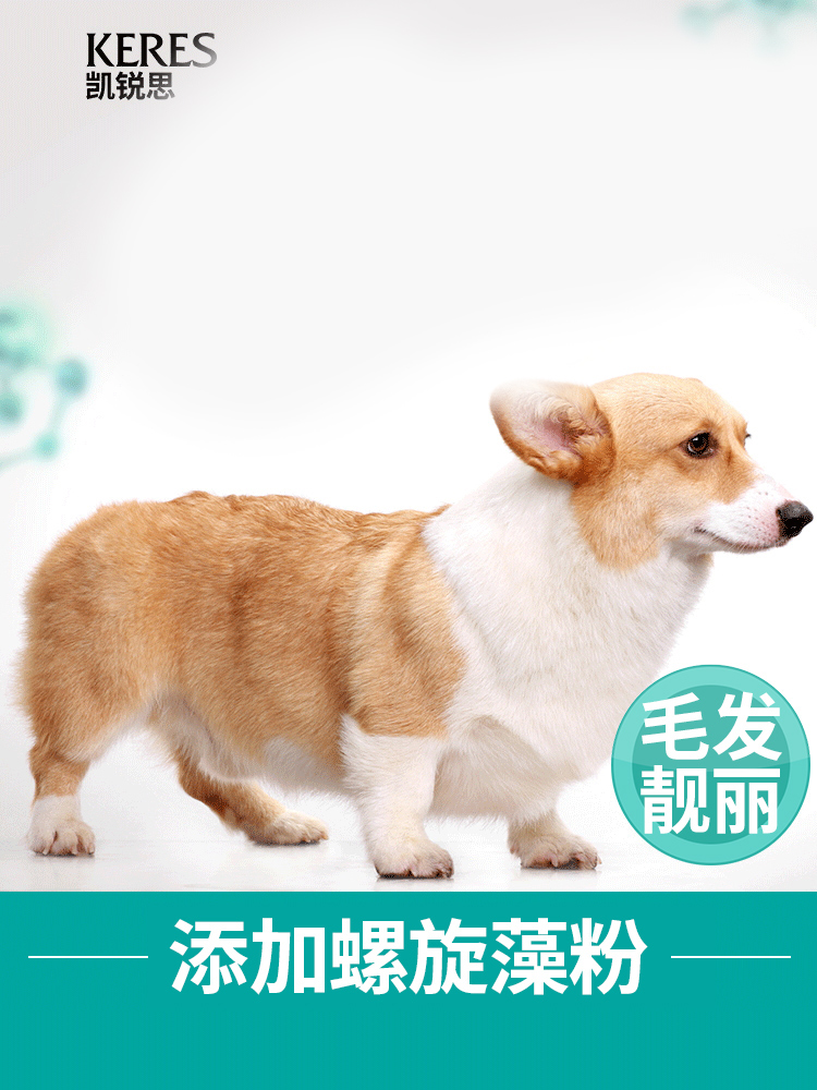 凯锐思专用幼犬成犬小型犬幼犬粮柯基狗粮2kg4斤专用粮美毛轻泪痕_宠物_宠物食品及用品