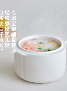 olayks立时电炖锅家用煲汤锅