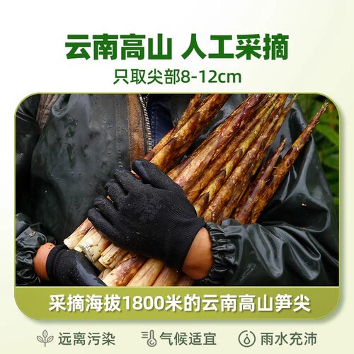 渝美滋山椒笋尖220g网红休闲零食竹笋干笋片即食小吃脆笋尖嫩竹笋 - 图2
