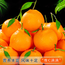 正宗四川春见耙耙柑新鲜现摘4.5斤