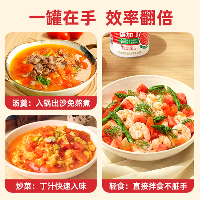 屯河新疆内蒙番茄丁罐头