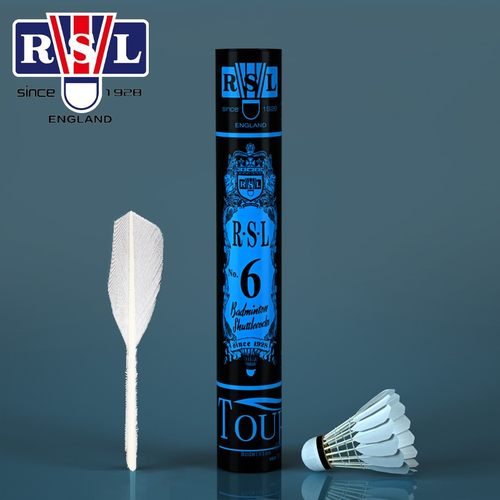 亚狮龙正品球类羽毛球RSL N0.4号5号7号专业训练耐打稳定羽球一桶 - 图1