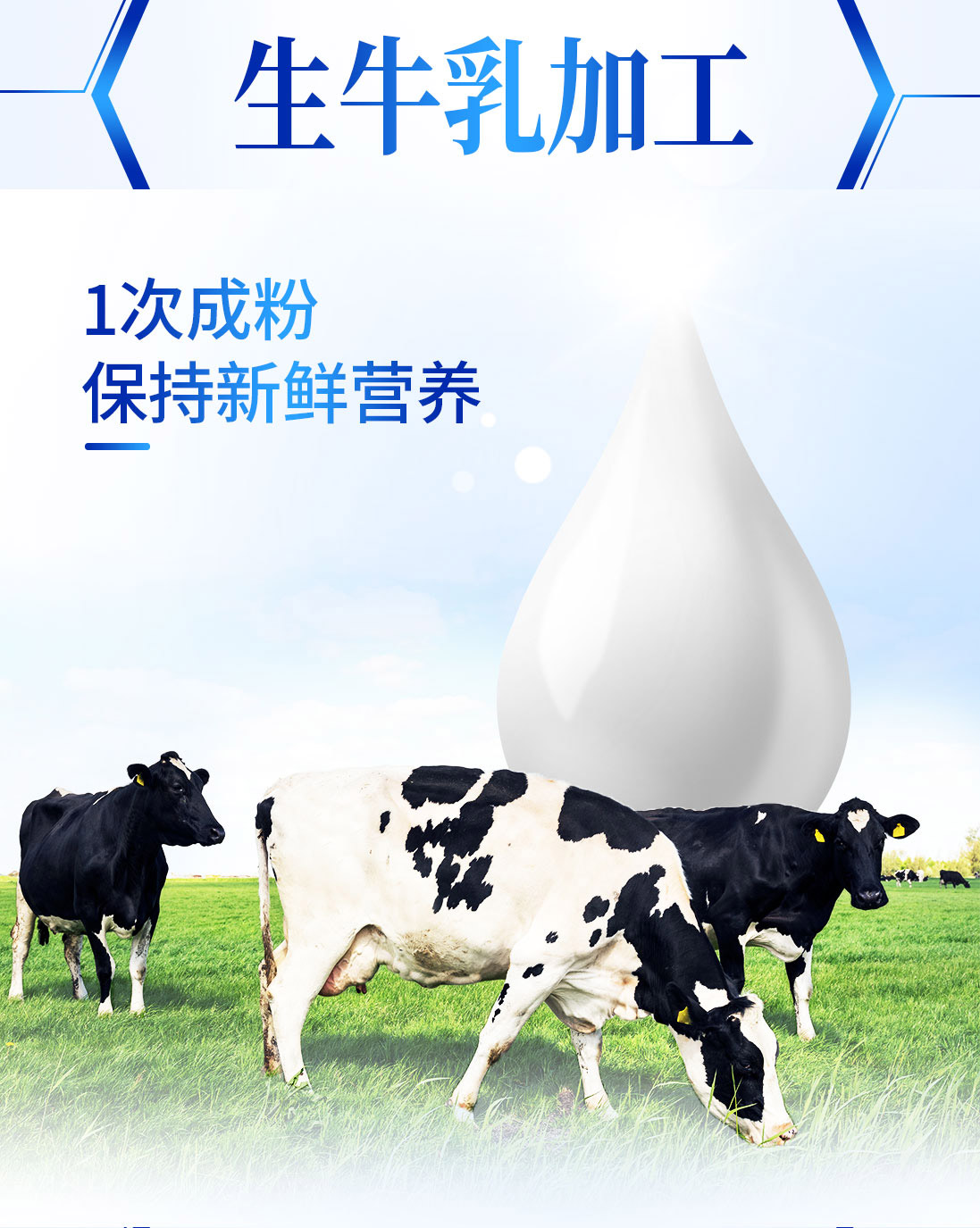 完达山经典1958富硒高钙木糖醇含膳食纤维中老年牛奶粉800g/罐