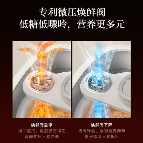 小熊微压电炖锅隔水炖家用电炖盅低嘌呤煲汤炖汤锅煮粥神器烹饪机 - 图1