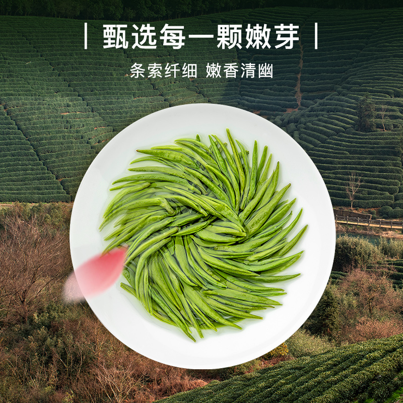 新茶艺福堂绿茶茶叶正宗明前特级碧螺春250g铁罐浓香自喝正品旗舰 - 图1