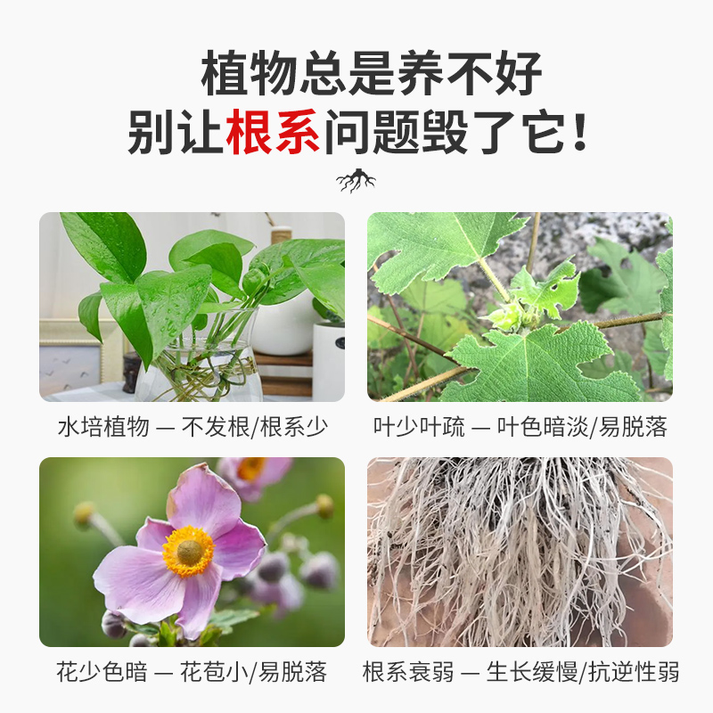 生根粉树木移栽扦插专用植物通用快速生根强力壮苗树木生根液包邮 - 图0