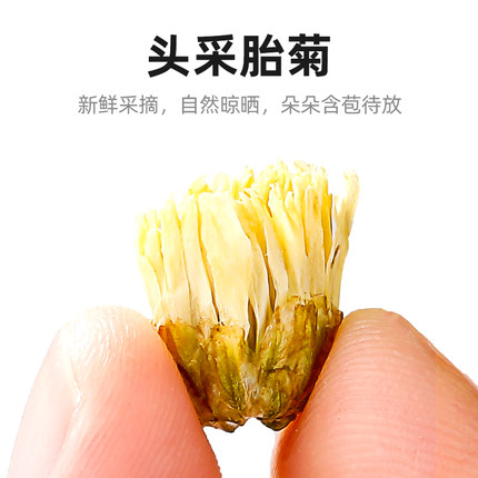 杞里香桐乡胎菊王头茬采摘40g*2罐