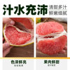 Premium red pomelo with thin skin and thick flesh
