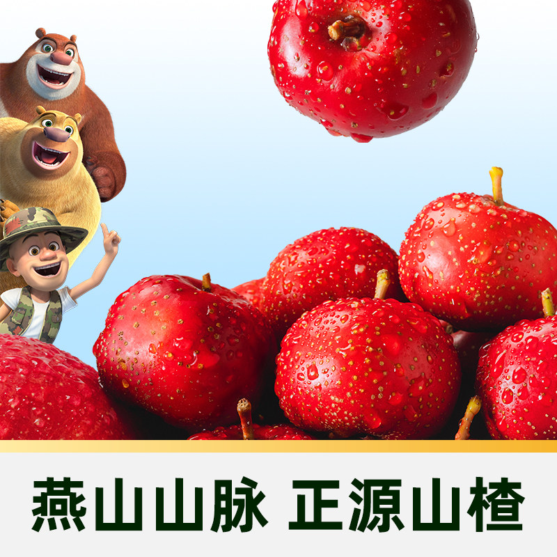 【臻选】怡达高膳食纤维山楂棒350g38支装零添加儿童开胃解馋零食