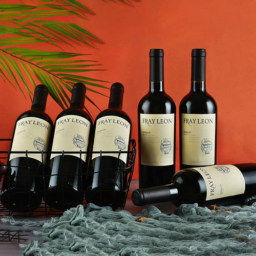 【进口】智利Fray Leon 富丽安梅洛口粮酒婚礼干红葡萄酒整箱 - 图1