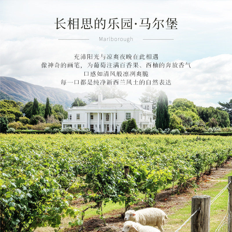 耶耶海狗长相思干白微醺果酒梦幻天使阿斯蒂白葡萄酒心派对礼物,淘宝优惠券,粉丝福利购,淘宝优惠卷