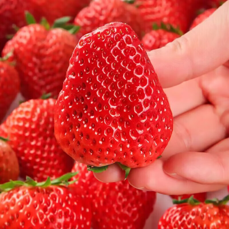 Ĵɽ ղݮ Ͳݮ ժˮ ʱ300*2 36.4Ԫ+1.5Ԫ