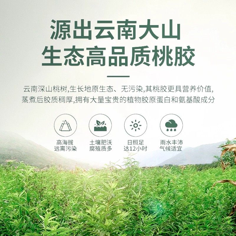 特级天然野生桃胶云南正品大粒可搭配银耳皂角米雪燕食用无杂质,淘宝优惠券,粉丝福利购,淘宝优惠卷