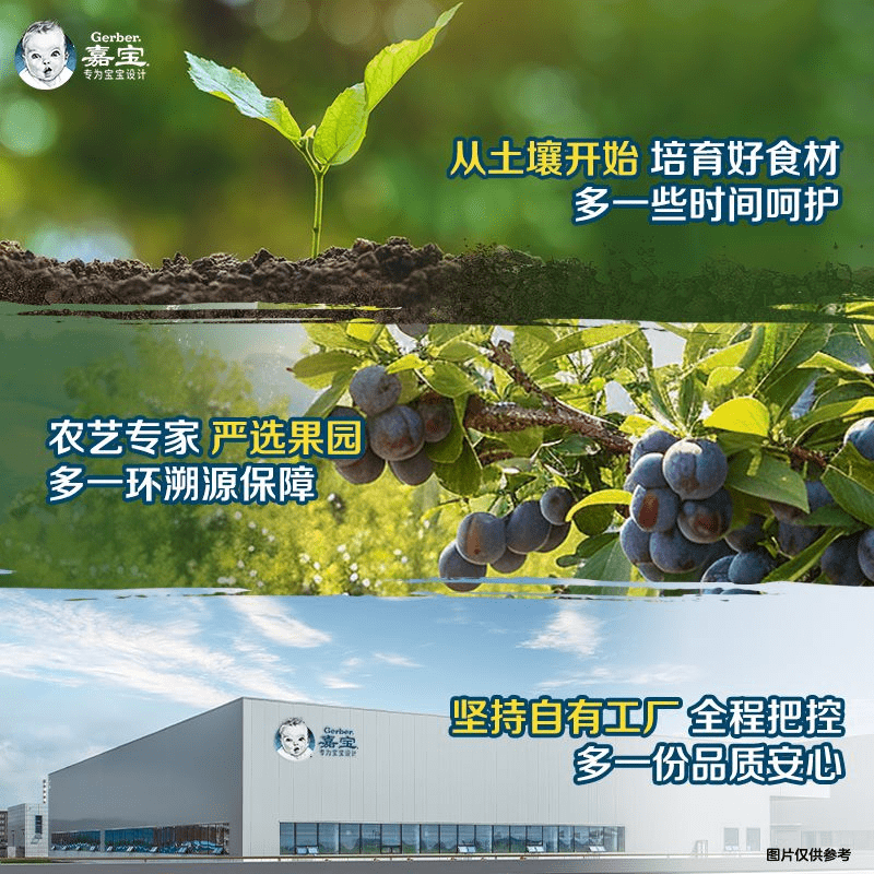 嘉宝西梅梨泥果泥宝宝零食婴儿辅食泥70g*6袋