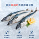 Shiboshi Norwegian mackerel locked fresh with clear tiger stripes