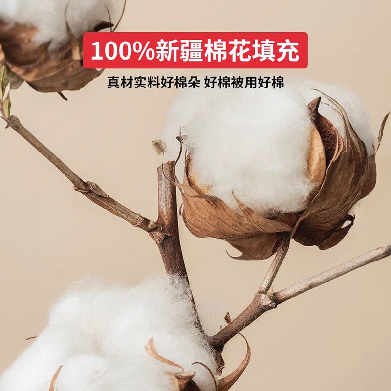 名创优品新疆纯棉花被子冬被加厚保暖冬天棉被学生单人春秋被四季,淘宝优惠券,粉丝福利购,淘宝优惠卷