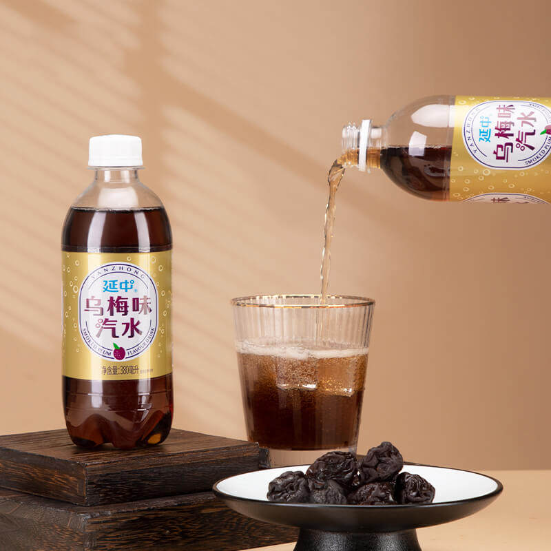【品牌仓直发】延中碳酸饮料乌梅味汽水果味汽水夏季消暑解渴