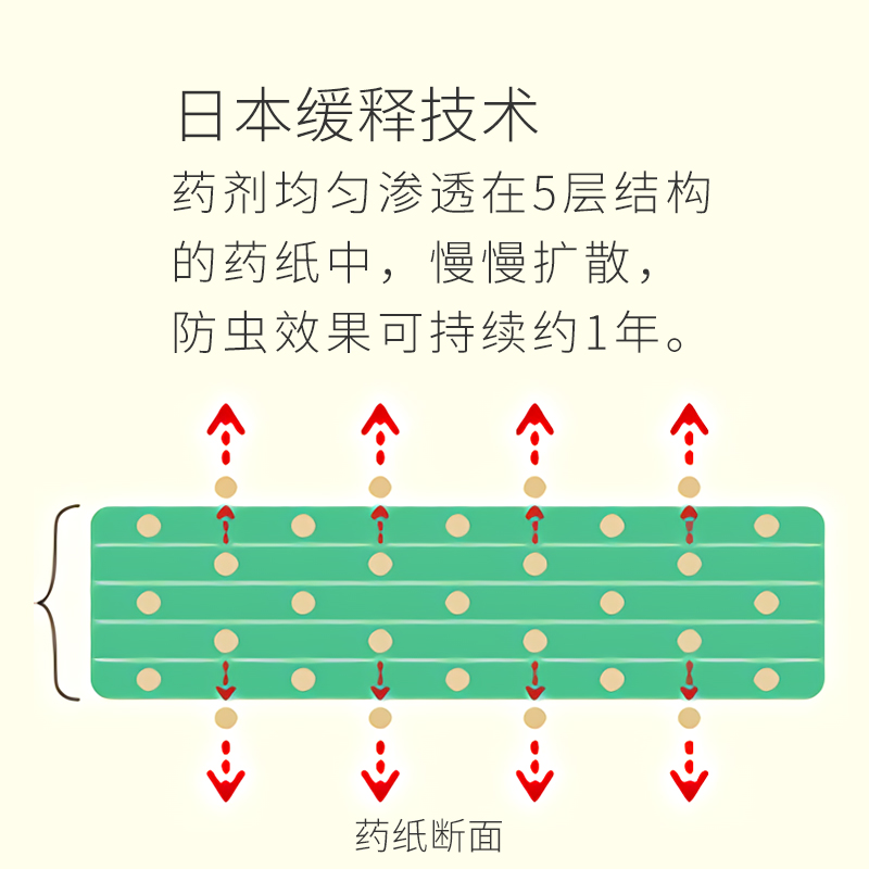 金鸟衣柜衣橱防霉防黄防蛀片黄梅天防虫代替樟脑丸花香款4片*1盒 - 图2