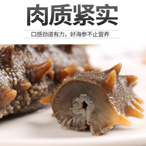 顺丰上门有机丨宫品3A有机海参淡干刺参海鲜发后即食水产干货自用 - 图3