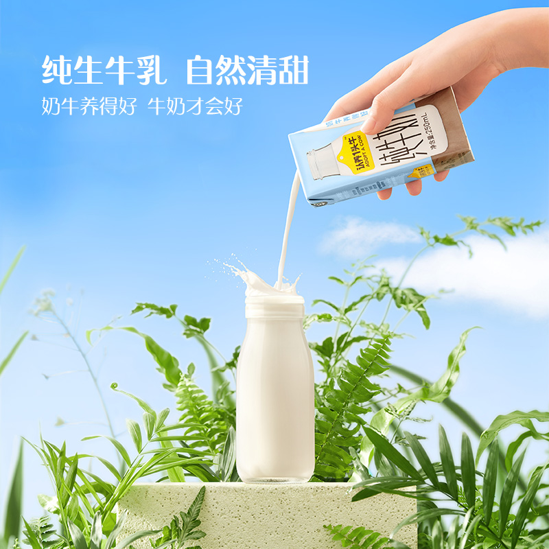 认养一头牛全脂纯牛奶250ml*12盒*2箱儿童学生早餐营养部分2月产 - 图2