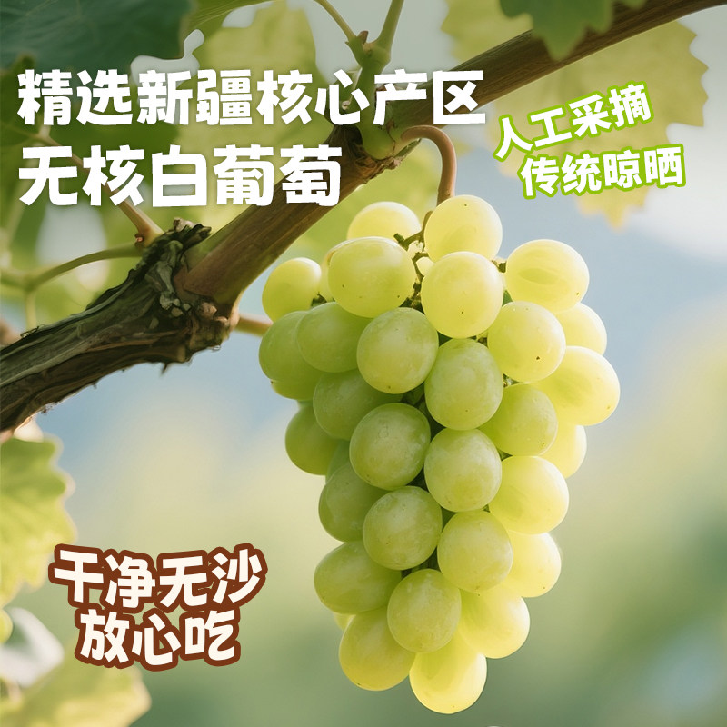 展艺葡萄干蜜饯果干无籽新疆特产零食面包蛋糕小袋装烘焙原料,淘宝优惠券,粉丝福利购,淘宝优惠卷