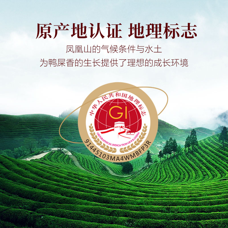 七春凤凰单丛鸭屎香茶叶蜜兰香乌龙茶200g正宗潮州凤凰单枞茶组合 - 图3