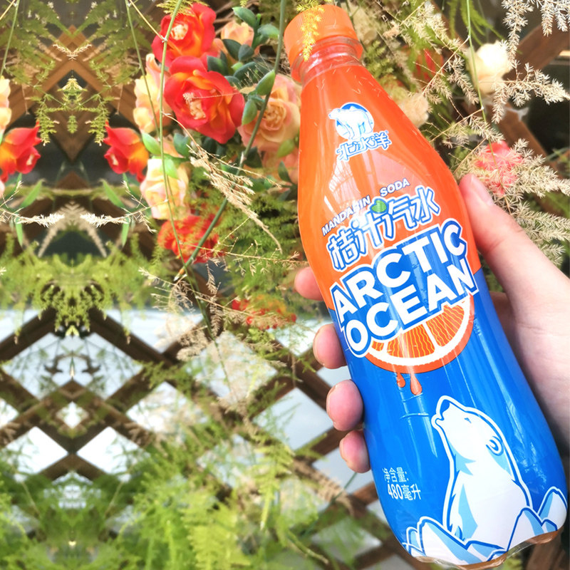 北冰洋桔汁汽水碳酸饮料pet480ml*15瓶