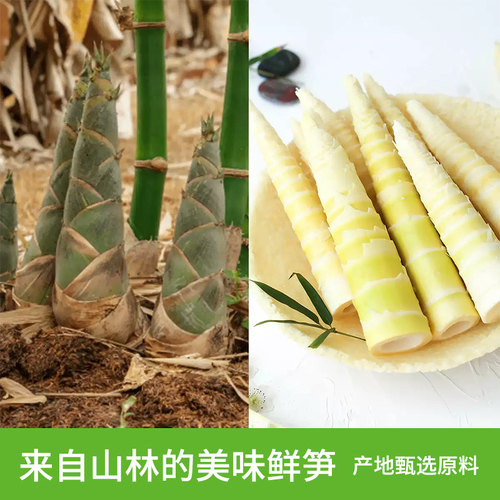 山不野泡椒笋尖笋条笋片500g解馋辣味零食竹笋休闲出游零食小包装 - 图1