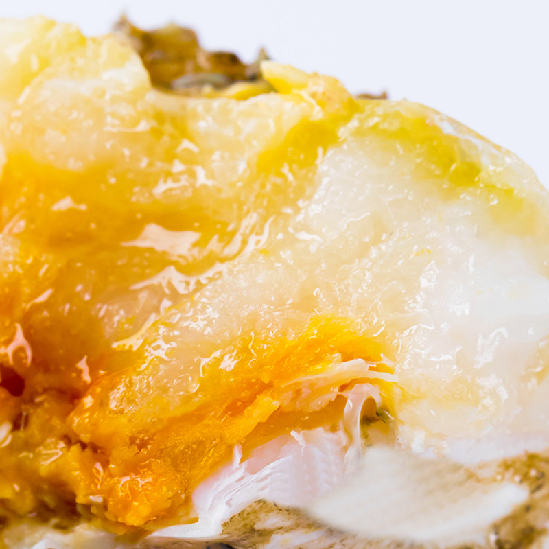 [活蟹]仲秋大闸蟹鲜活现货特大全母螃蟹公河蟹精品礼盒,淘宝优惠券,粉丝福利购,淘宝优惠卷