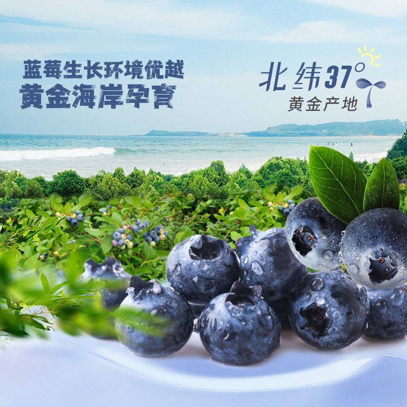 汇源100%蓝莓混合汁饮品125ml*36盒浓缩果汁饮料整箱,淘宝优惠券,粉丝福利购,淘宝优惠卷