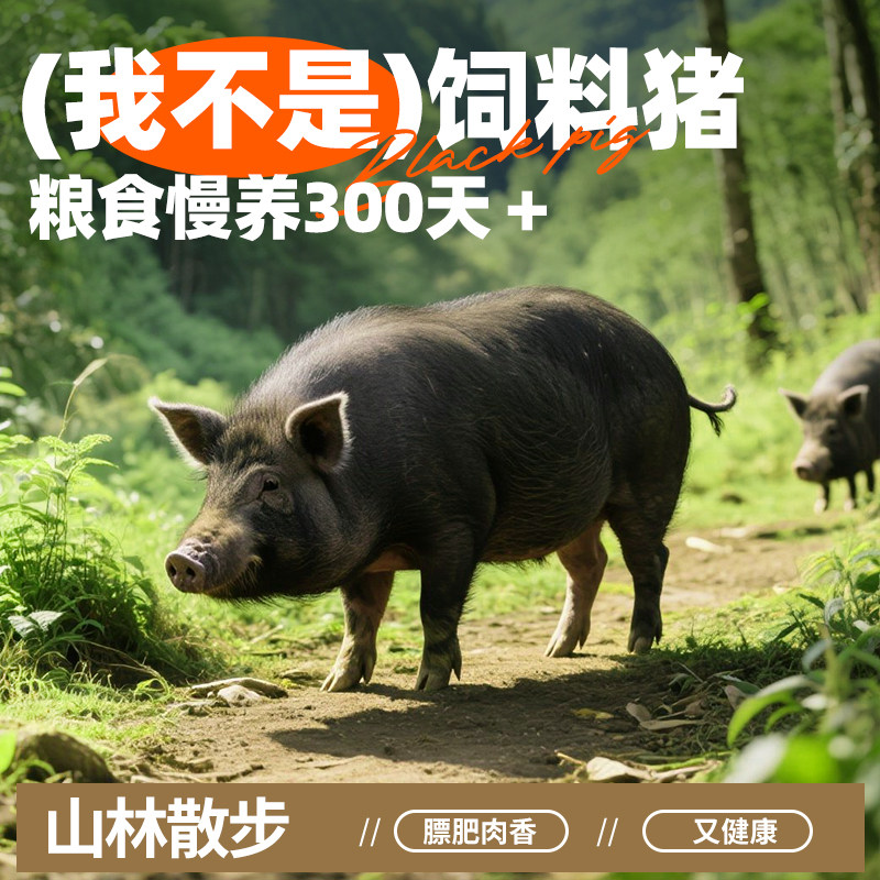 谷食密语食用黑猪油猪板油拌面粉蛋黄酥广式月饼烘焙专用原料,淘宝优惠券,粉丝福利购,淘宝优惠卷