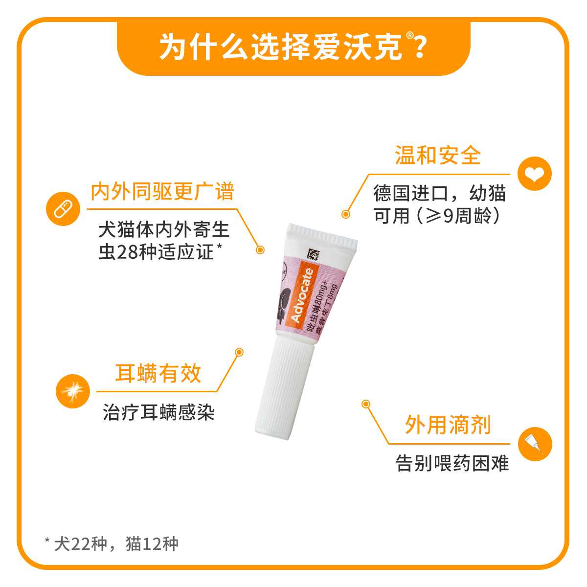 德国拜耳爱沃克耳螨驱虫药猫用体内外一体滴剂4~8kg0.8ml单支装 - 图0