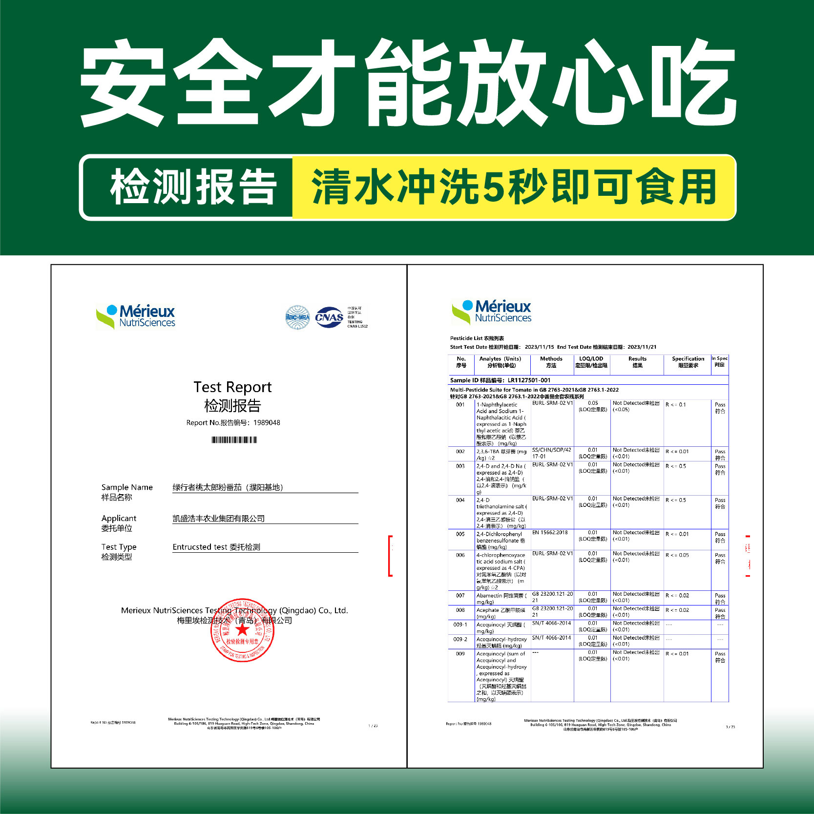 绿行者小粉番茄蔬菜西红柿2.5kg生吃自然熟现采现摘 - 图3