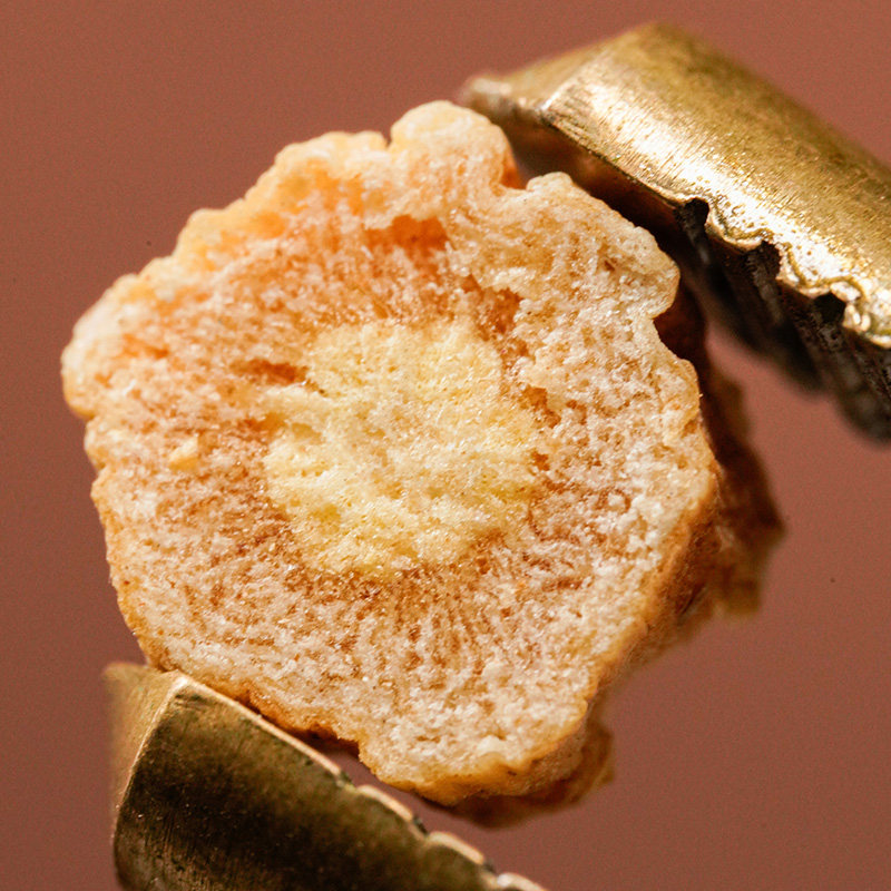 雷允上党参甘肃原产140g×1瓶搭配黄芪当归枸杞麦冬煲汤泡水品质,淘宝优惠券,粉丝福利购,淘宝优惠卷