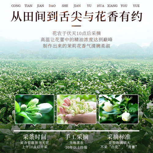 福东海茉莉花苞茶50g当季新鲜头采花苞茶叶新花干花蕾花草茶泡茶-图3