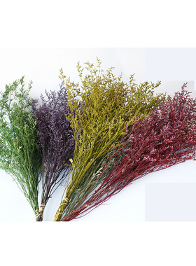 干花永生花满天星黄金球勿忘我干