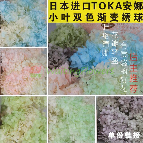 等花来进口头饰diy材料包Toka岩手玻璃罩安娜永生花绣球 - 图0